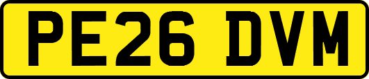 PE26DVM