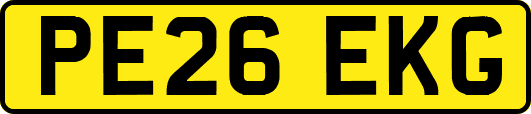PE26EKG