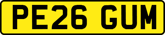 PE26GUM