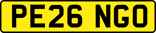 PE26NGO