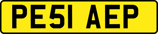 PE51AEP