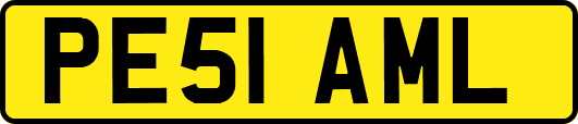 PE51AML