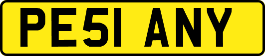 PE51ANY