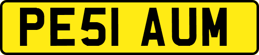 PE51AUM