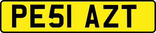 PE51AZT