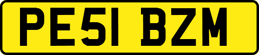 PE51BZM