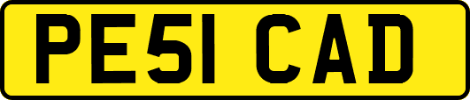PE51CAD