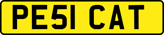 PE51CAT