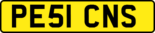 PE51CNS