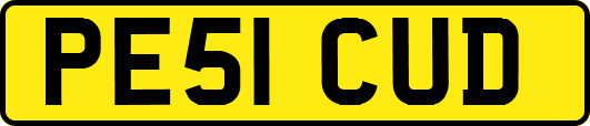 PE51CUD
