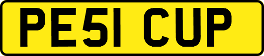 PE51CUP