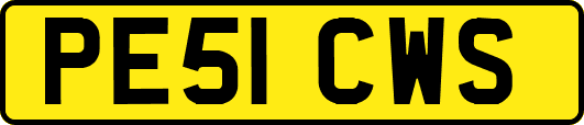 PE51CWS
