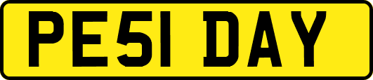 PE51DAY