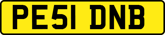 PE51DNB