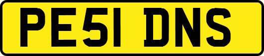 PE51DNS