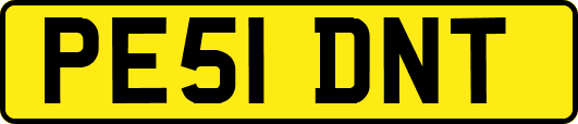 PE51DNT