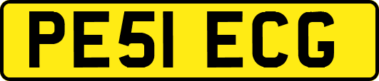 PE51ECG