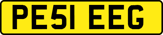 PE51EEG