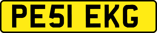 PE51EKG