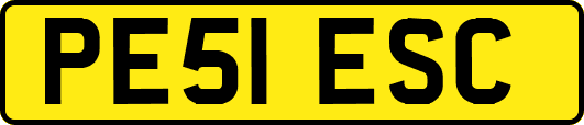 PE51ESC