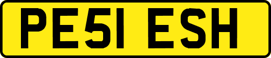 PE51ESH