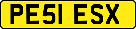 PE51ESX