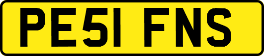 PE51FNS