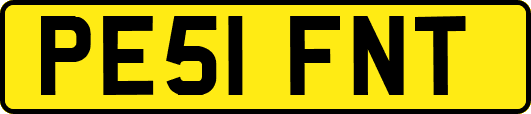 PE51FNT