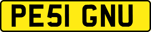 PE51GNU