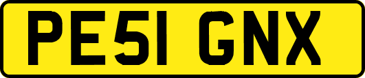 PE51GNX