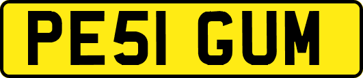PE51GUM