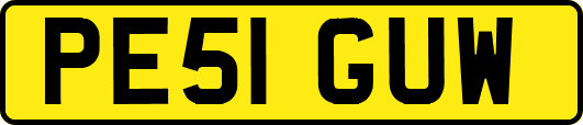 PE51GUW