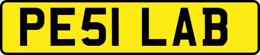 PE51LAB