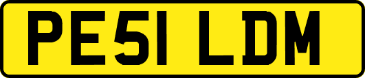 PE51LDM