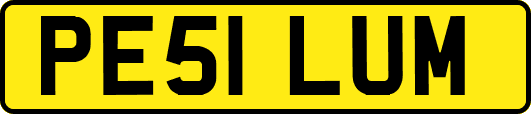 PE51LUM