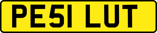 PE51LUT