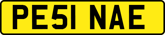 PE51NAE