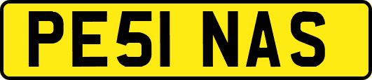 PE51NAS