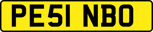 PE51NBO
