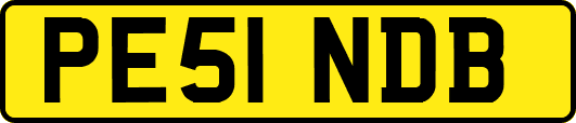 PE51NDB