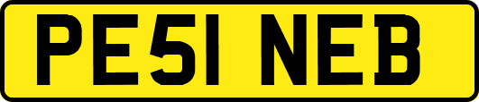 PE51NEB