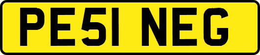 PE51NEG