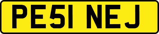 PE51NEJ
