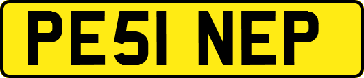 PE51NEP