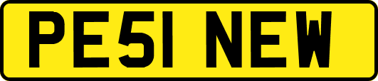 PE51NEW