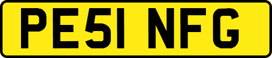 PE51NFG