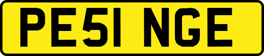 PE51NGE