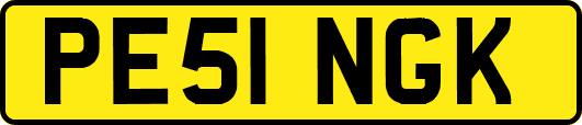 PE51NGK