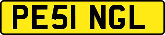 PE51NGL