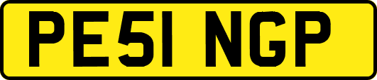 PE51NGP